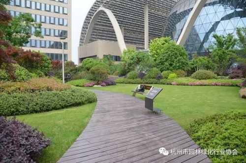 都市綠洲，云端花園——杭州國際博覽中心項目屋面園林綠化工程獲2016年度杭州市優秀園林綠化工程綜合組金獎紀實